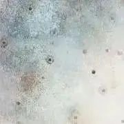 ハルカの画像