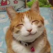 happychild