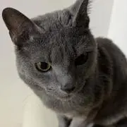 ちゅうの画像