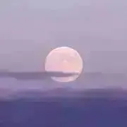 aiの画像