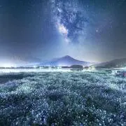 みかんの画像