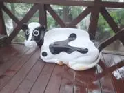 ハルミズの画像