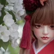 胡蝶の画像