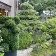 きのこの画像