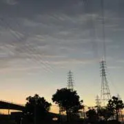 煮サバの画像