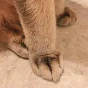 ちーちゃん◡̈⃝