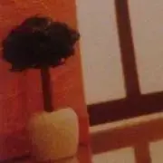 こなみんの画像