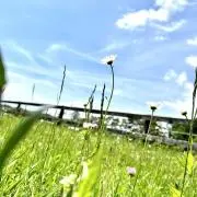 tanaの画像