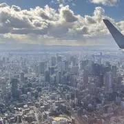 ピーマン（値下げ相談歓迎！）の画像