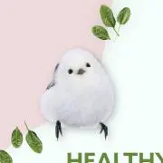 ことりちゃん✨〜16時まで当日発送！✨の画像