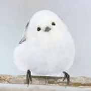 そまりの画像