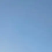 くもの画像
