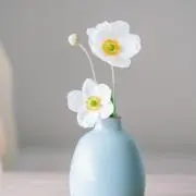 はな❁⃘の画像