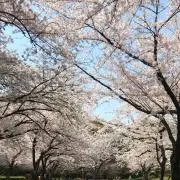 まとめ買い大歓迎の画像