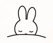 こまちゃんの画像