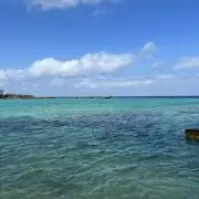 めかめかめかかの画像