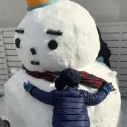 dsの画像