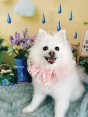 むーみん