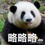 布布
