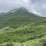 クロワッサンの画像