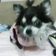 あーちゃこ