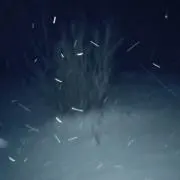 らに