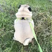 のんちゃん❣️