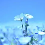 さーちゃの画像