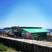 bijuu