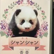 yuki_ameの画像