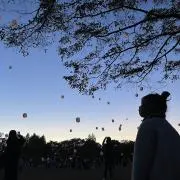 ohanaの画像