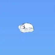 きの画像