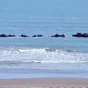 ミニー