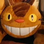 ようこの画像