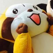 ぶんの画像