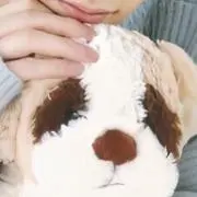 ayamaの画像