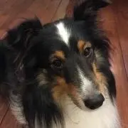 ちえり