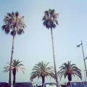 soyyyの画像