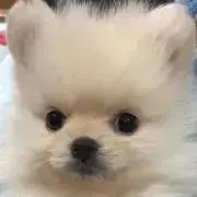 hiroの画像