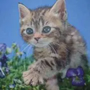 けんぴの画像