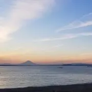 サオ