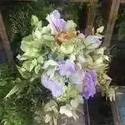 moonlightの画像