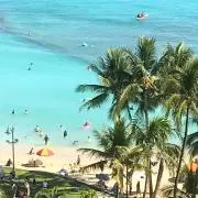 ゆっきーの画像