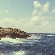Shigeoの画像