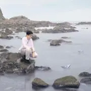fan yang