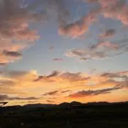 moo