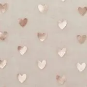 aiaiの画像