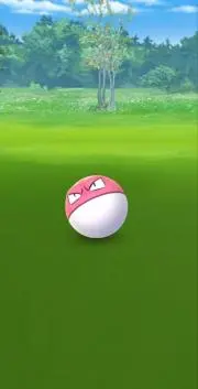 タカタカ