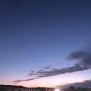 Wasabiの画像