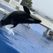 なちの画像
